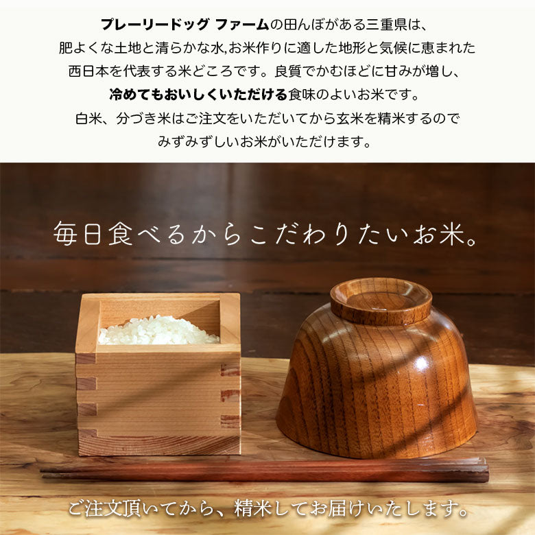 【先行予約】 令和7年産 新米 三重県産 コシヒカリ 10kg(5分づき)