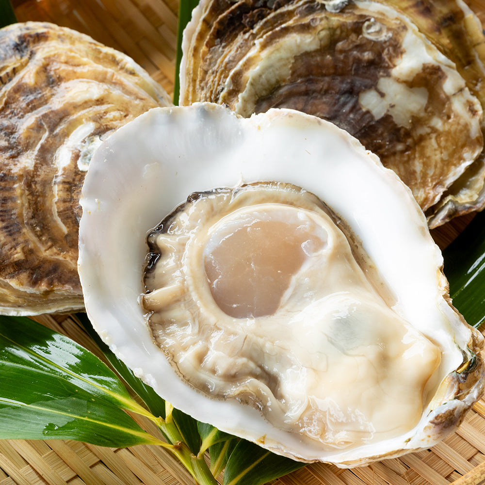 スミノエ牡蠣 1kg