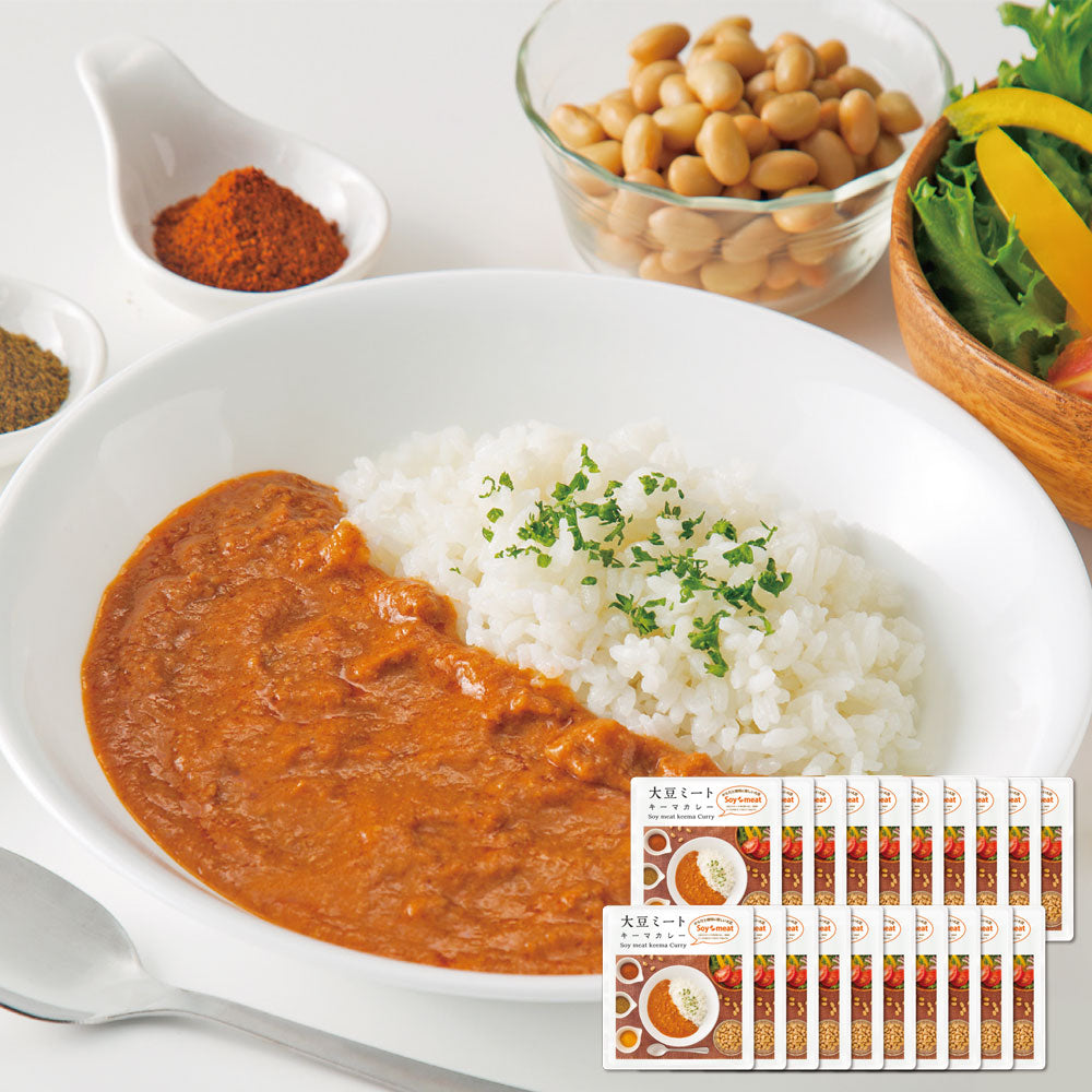 大豆ミート キーマカレー レトルトパック 20個入り