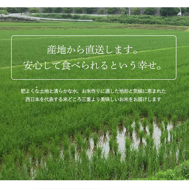 令和7年産 新米 三重県産 コシヒカリ 10kg(玄米)