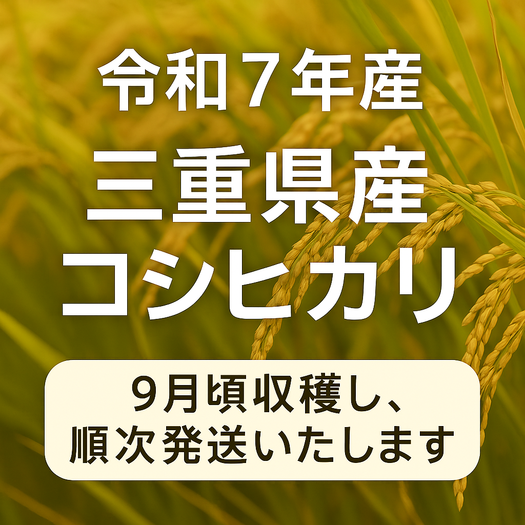令和7年産 新米 三重県産 コシヒカリ 10kg(玄米)