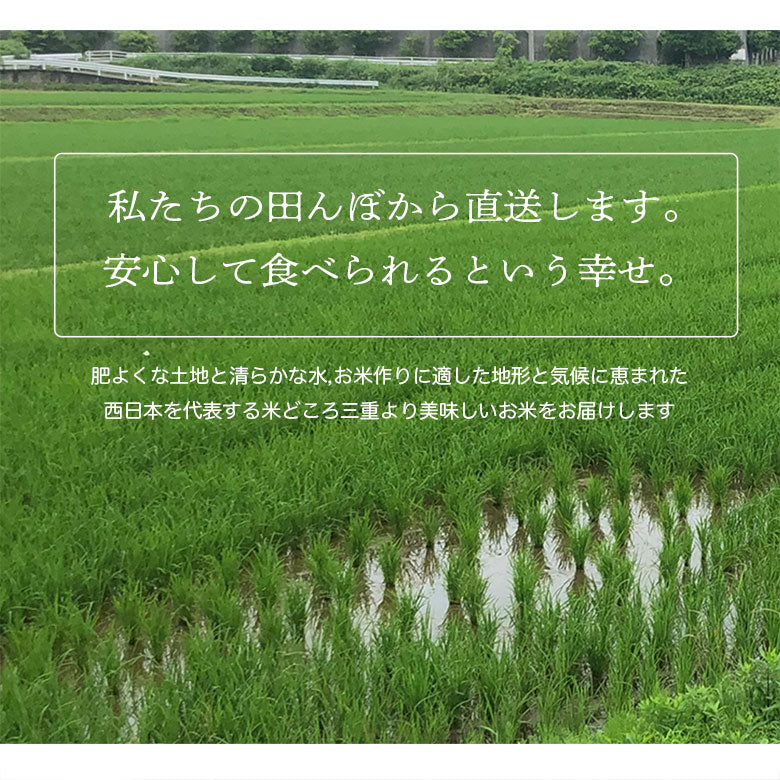 【令和6年産 新米】三重県産 コシヒカリ 5kg(玄米)